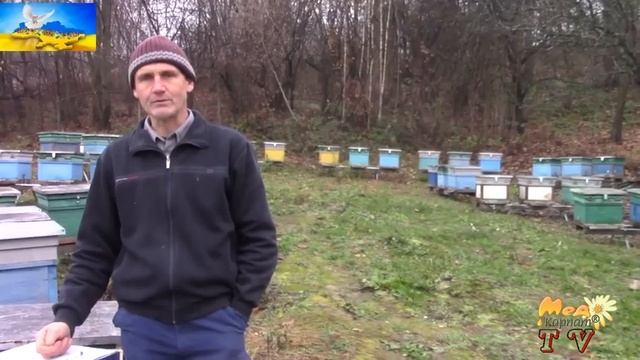 Чому гинуть бджоли восени 2022. Останній штрих до зимового утримання бджіл. смотреть онлайн