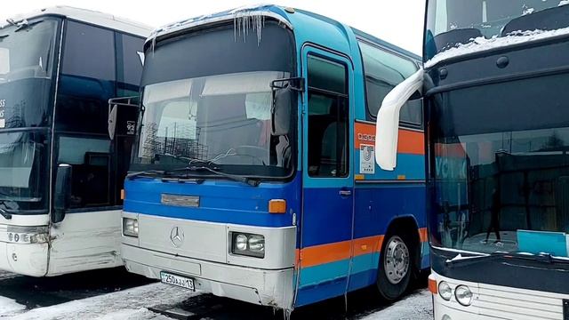 Москвадан Узбекистонга автобус кетиш жараёни видеога олинди. хамма курсин мусофирлар смотреть онлайн