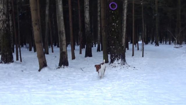 Часть 2 - драма/хэппи энд смотреть онлайн