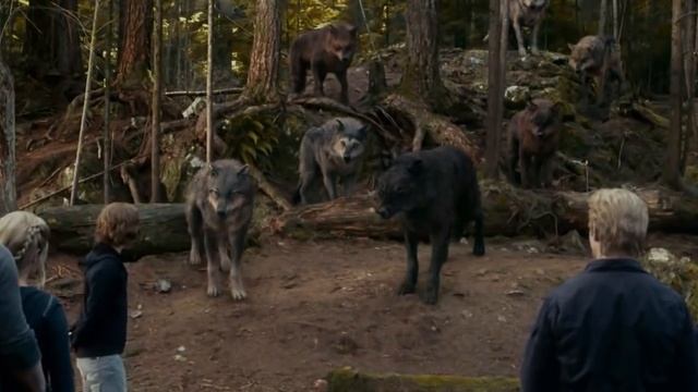 Twilight Eclipse training scene смотреть онлайн