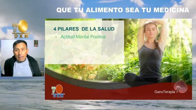 TERAPIA CON GANODERMA DXN / GANOTERAPIA смотреть онлайн