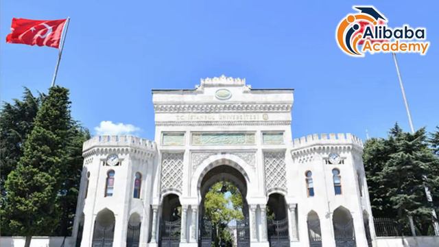 В Стамбуле/Без экзаменов/Заочно смотреть онлайн