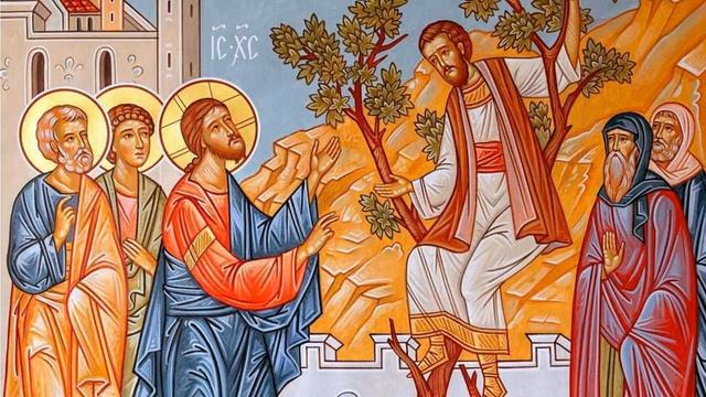 Проповедь кс Павла Кнурека на воскресенье 03 11 2019 Бог, который нас преображает смотреть онлайн