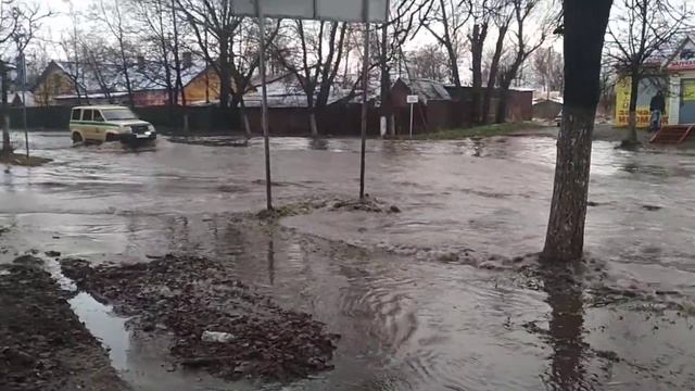 6 11 2019 г Старая Русса смотреть онлайн