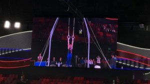 Никита Нагорный Voronin Cup кольца.