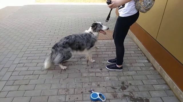 Фаст выполняет команды смотреть онлайн