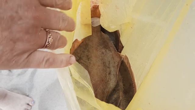 Калининград пляж Зеленоградск Камбала смотреть онлайн