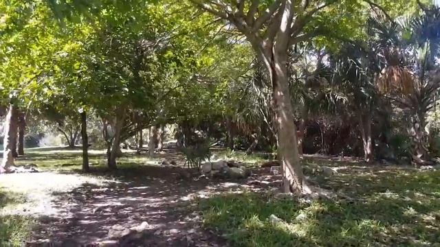 Моя жизнь в Мексике смотреть онлайн