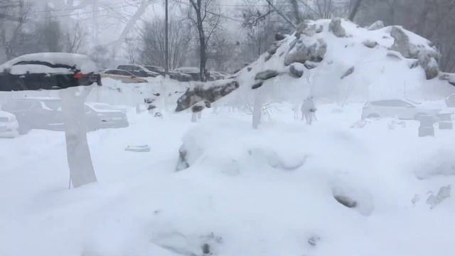 ❄️1317❄️ Почти как на Северном полюсе 🌊 встреча с весной 🌷 пока не получилась#15 февраля смотреть онлайн