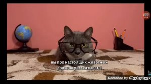 КОТИНЕТ - 17-СЕРИЯ 2-СЕЗОН - ОПЯТЬ НА УЧЕБУ! ОПЯТЬ ЭТОТ ДУРДОМ!!!! - (Kotiynet-Россия)