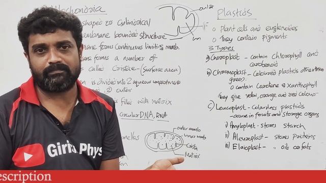 Plus One Botany | Focus Area | Chapter 5 | Cell The Unit of Life Class смотреть онлайн