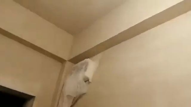 Штукатурка#откосы#plaster ригелья#Plaster#slopes#rigil#gypsum Plaster#منحدرات#top#جص#гипсовые#slope