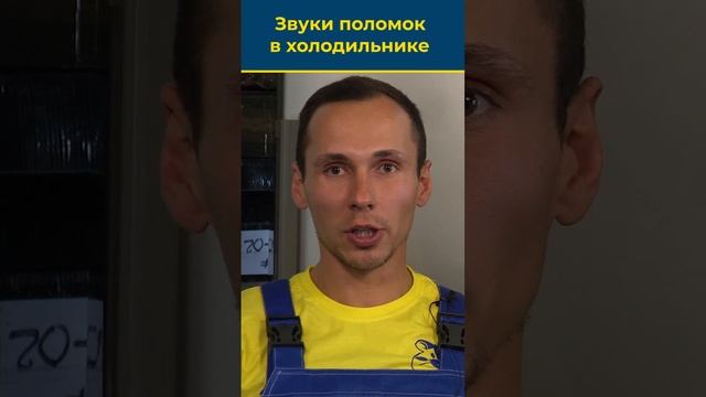ЗВУКИ ПОЛОМОК В ХОЛОДИЛЬНИКЕ (Эксперт шарит) #холодильник #холодильноеоборудование смотреть онлайн