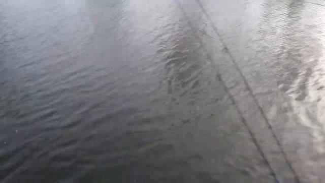 Ловля форели в КРХ Никитское или пришла зима 11.12.2016 смотреть онлайн