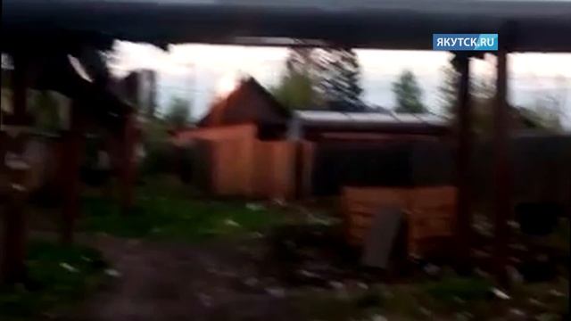 В Алдане за сутки произошло более 20 пожаров смотреть онлайн