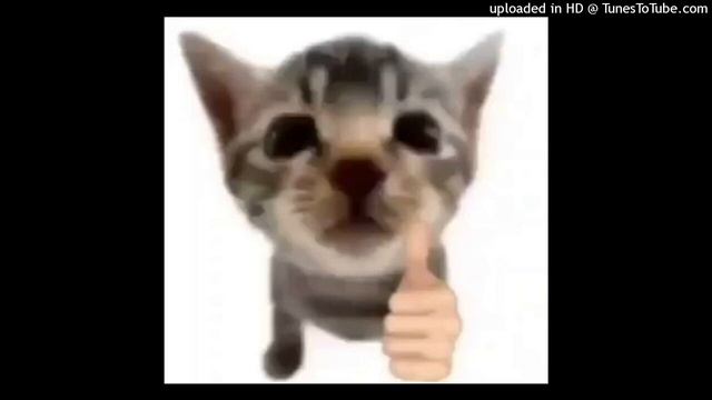 yameii + lungskull type beat - lifeisroblox смотреть онлайн