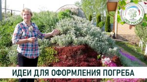 Как оформить погреб. Ландшафтный дизайн своими руками.