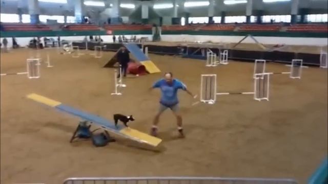 CP Video iPad Version 1.mp4 смотреть онлайн