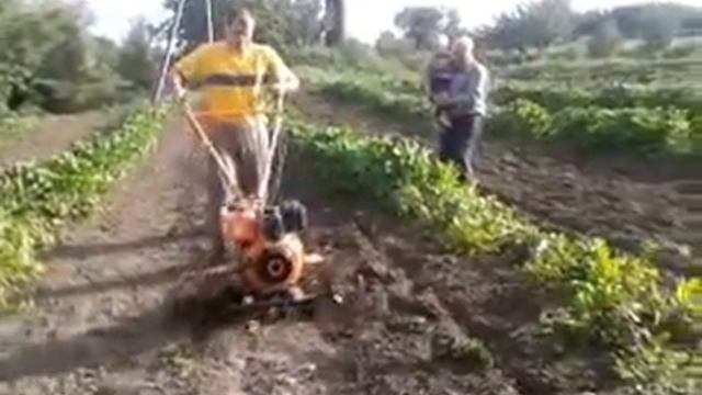 Кентавр 2060Д.mp4 смотреть онлайн