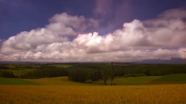 Поёт Валерий Сёмин. _Остановись, мгновение_