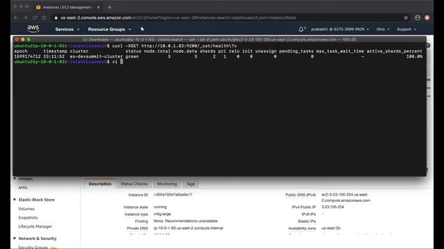 Perform Search and Analytics with Elasticsearch on AWS Graviton2 powered by Arm Neoverse смотреть онлайн