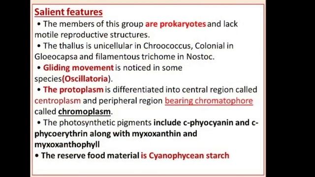 XI  BOT   CHAP  1   Archae Bacteria To Actinomycetes