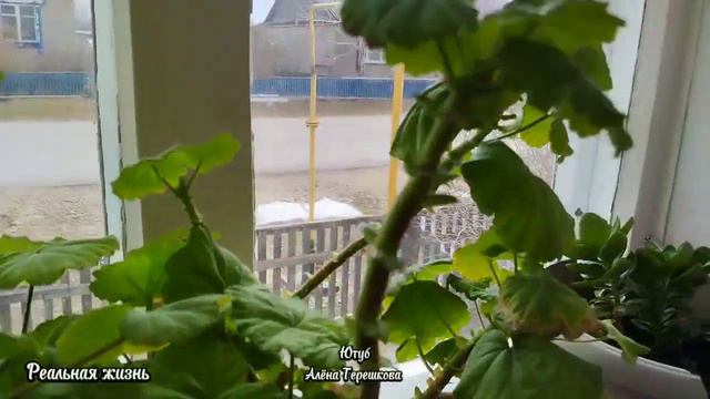 Реальность! Ухаживаю за больным отцом/ На кухне у мамы/Завтрак для папы/Пасха! смотреть онлайн