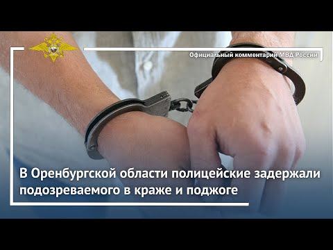 Ирина Волк: В Оренбургской области полицейские задержали подозреваемого в краже и поджоге смотреть онлайн
