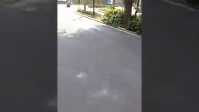 Болгария Созополь автобусы Созополбус Созополь пляж Золотая рыбка Черноморец Бургас 31 июля 2018 го