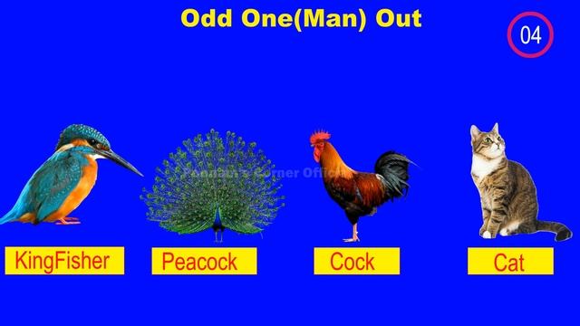 Odd One out Questions and Answers | One Man Out Puzzle Game | Odd One out for Kids смотреть онлайн