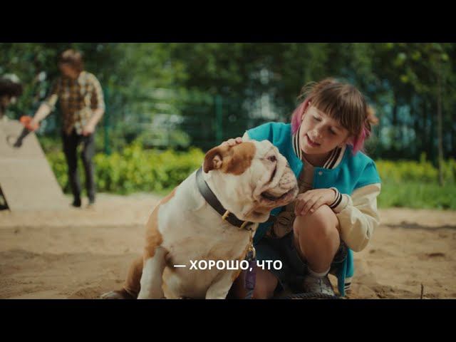 Золотой Cтандарт 1-го ДСК: Огороженные площадки для собак смотреть онлайн