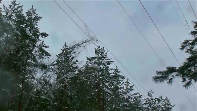 Замыкание через дерево⚡️ смотреть онлайн