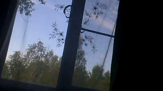 мопс гавкает смотреть онлайн