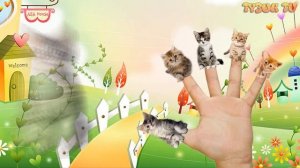 Кошачья семья пальчиков  Cat Finger Family in Russian