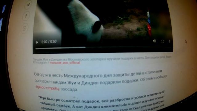 Неблагодарные панды : дареному коню в зубы не смотрят, они все подарки проверили на зуб смотреть онлайн