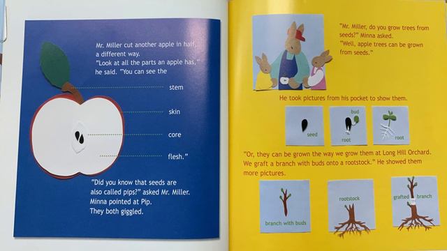 Apples, Apples, Apples смотреть онлайн