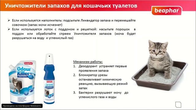 Кошачьи метки смотреть онлайн
