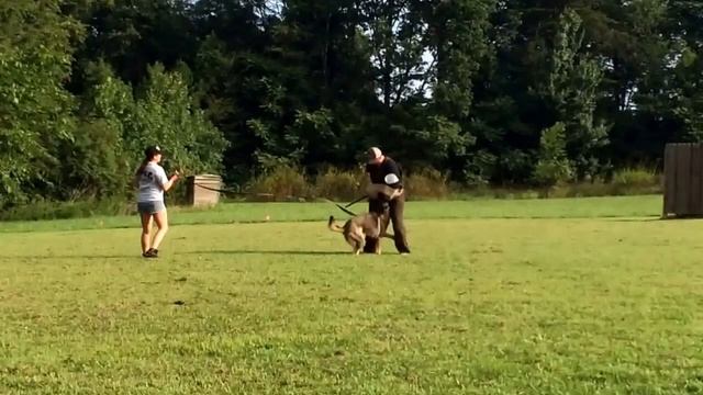 Java von der Tetiaroa escape bite смотреть онлайн