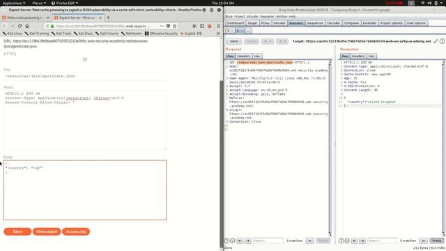 Web cache poisoning to exploit a DOM vulnerability via a cache with strict cacheability criteria смотреть онлайн