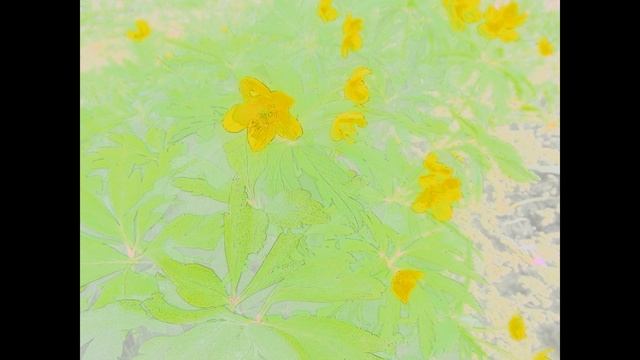 А. Чехов. Архиерей смотреть онлайн