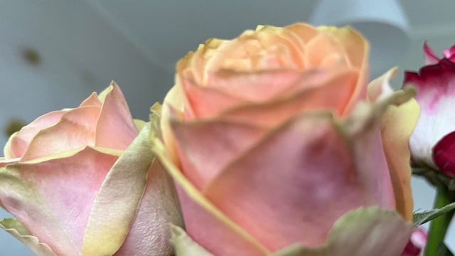 Два коротких стиха: „Всё для себя“ и „Спасибо с самого утра“ смотреть онлайн