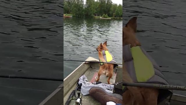 my little man Ringo fishing with his dad and his Uncle Craig смотреть онлайн