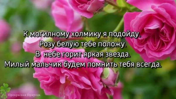 video_3730570742437.mp4