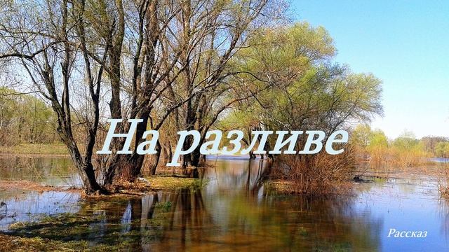 На разливе.. (рассказ)