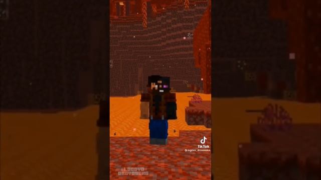 Меня 2 #shorts #funny #tiktok #вискас #Вискасзаметь #вискасзаметь #minecraft смотреть онлайн