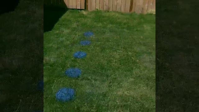 DIY Yard Games | Diy Party Game Twister! | Zillow смотреть онлайн