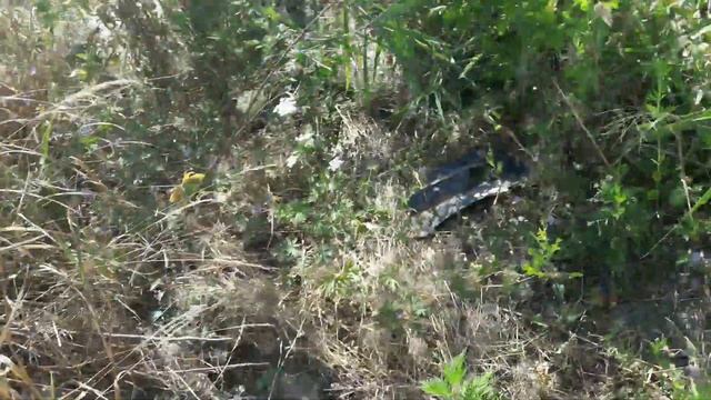 Мой уж водяной(3) смотреть онлайн