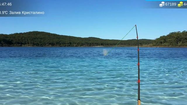 21) My Fishing World впоисках обыкновенный таймень часть1. смотреть онлайн