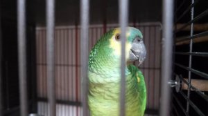 VLOG Расходимся с Костей