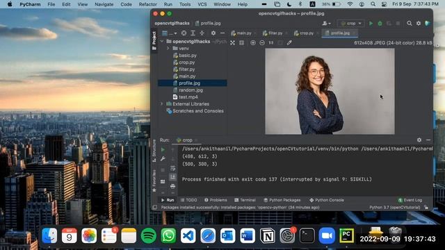 TGIFHacks #134 - OpenCV смотреть онлайн